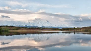 AUTORE: Luigi Dorigo - Ali e Radici Multivisioni AUTORE: Luigi Dorigo - Ali e Radici Multivisioni