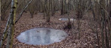 AUTORE: Luigi Dorigo - Ali e Radici Multivisioni AUTORE: Luigi Dorigo - Ali e Radici Multivisioni