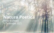 AUTORE: Luigi Dorigo - Ali e Radici Multivisioni AUTORE: Luigi Dorigo - Ali e Radici Multivisioni