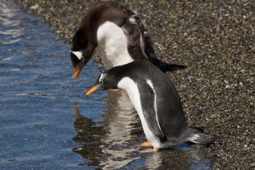 AUTORE: Filò Multivisioni AUTORE: Filò Multivisioni