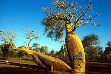 AUTORE: 360° Multivisioni AUTORE: 360° Multivisioni