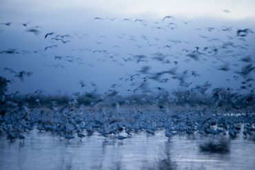 AUTORE: Luigi Dorigo - Ali e Radici Multivisioni AUTORE: Luigi Dorigo - Ali e Radici Multivisioni