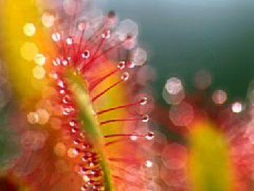 AUTORE: Carlo De Agnoi AUTORE: Carlo De Agnoi