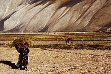 AUTORE: Luciano Vettorato AUTORE: Luciano Vettorato