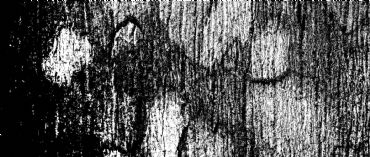 AUTORE: Luigi Dorigo AUTORE: Luigi Dorigo