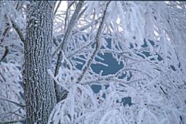 AUTORE: Merlino Multivisioni AUTORE: Merlino Multivisioni