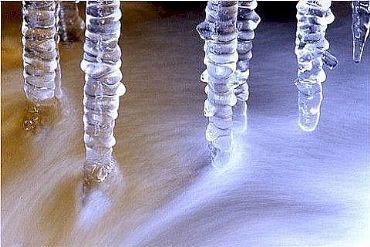 AUTORE: Luigi Dorigo - Ali e Radici Multivisioni AUTORE: Luigi Dorigo - Ali e Radici Multivisioni /