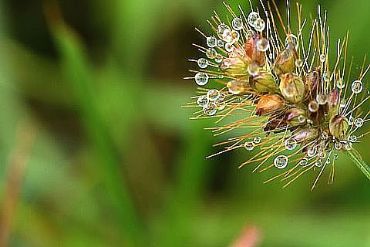AUTORE: Luigi Dorigo - Ali e Radici Multivisioni AUTORE: Luigi Dorigo - Ali e Radici Multivisioni