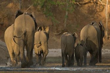 AUTORE: Merlino Multivisioni AUTORE: Merlino Multivisioni