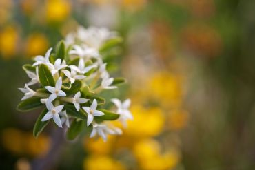 AUTORE: Roberto Valenti AUTORE: Roberto Valenti