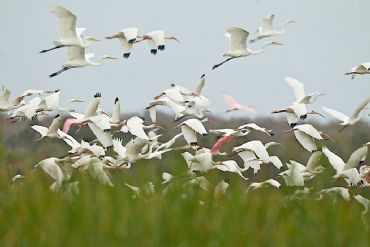 AUTORE: Luigi Dorigo - Ali e Radici Multivisioni AUTORE: Luigi Dorigo - Ali e Radici Multivisioni