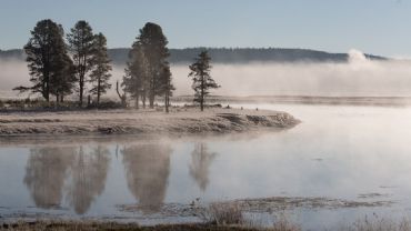 AUTORE: Luigi Dorigo - Ali e Radici Multivisioni AUTORE: Luigi Dorigo - Ali e Radici Multivisioni