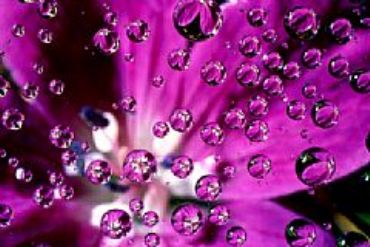 AUTORE: Carlo De Agnoi AUTORE: Carlo De Agnoi