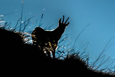 AUTORE: Valter Binotto AUTORE: Valter Binotto